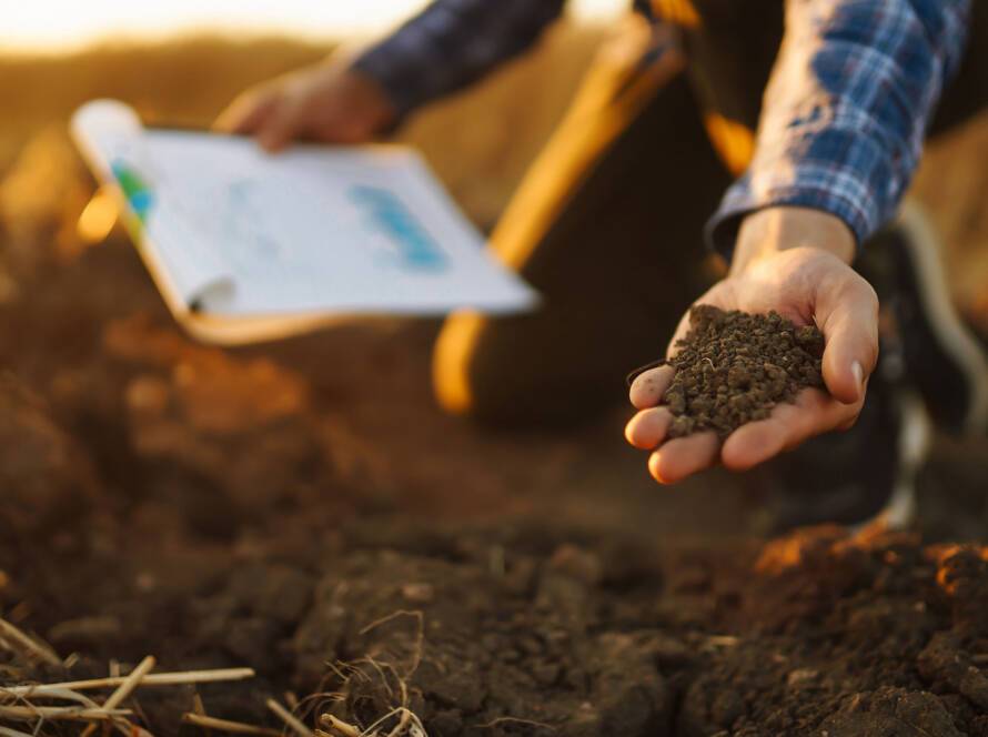 A farmer inspecting soil quality