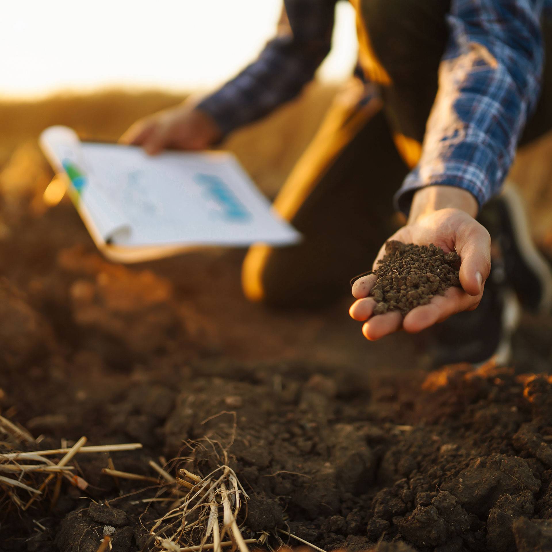 Soil Testing & Analysis