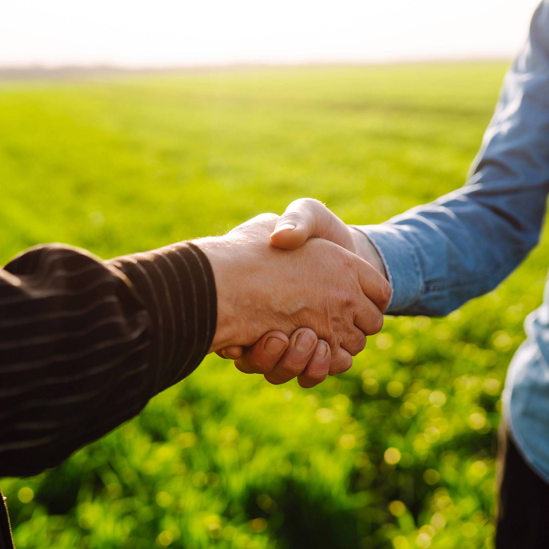 Nutrient Management Consultation