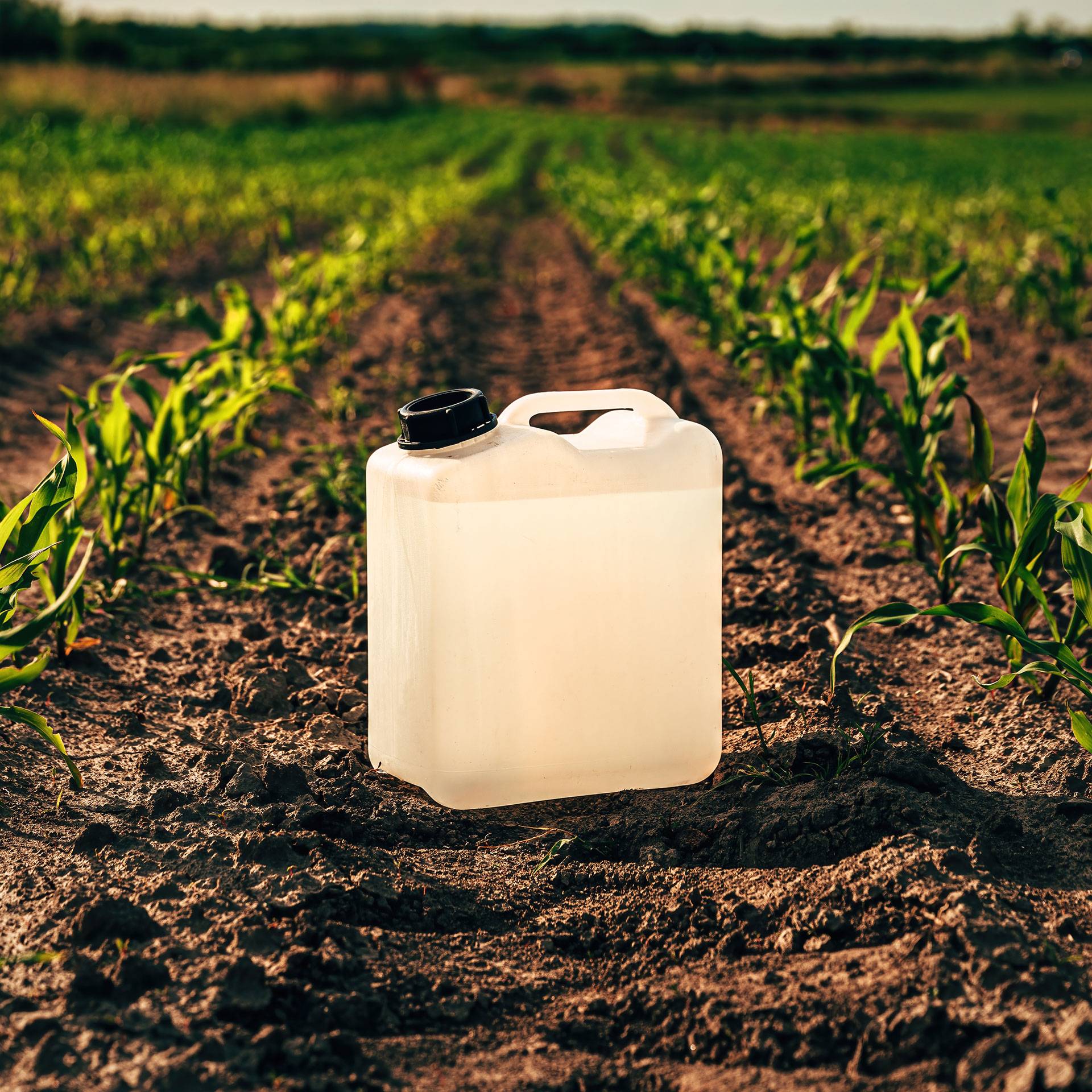 Custom Micronutrient Solutions