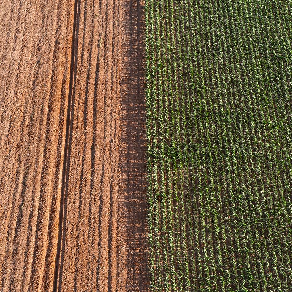 image of a field the is split down the mild