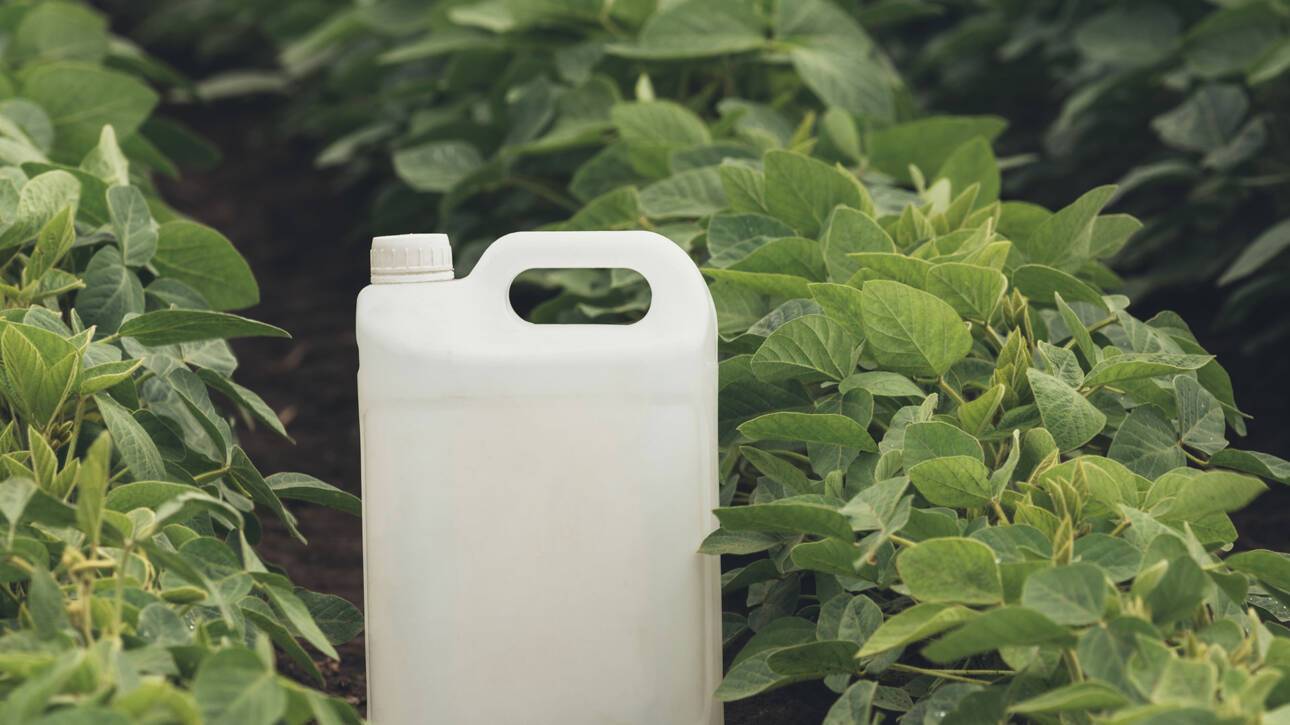 Image of a nutrient container in the a crop field
