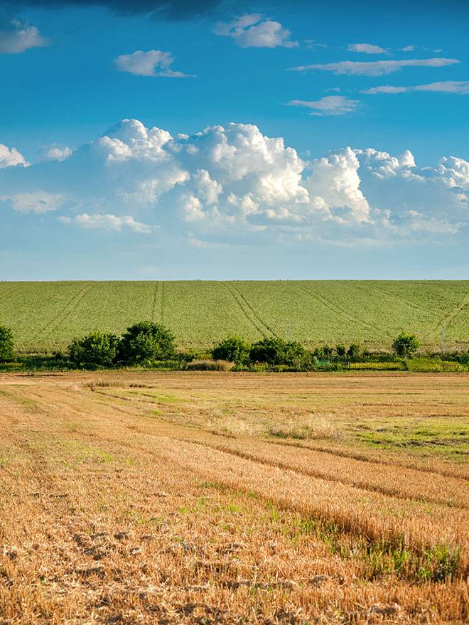A open field with blue skies